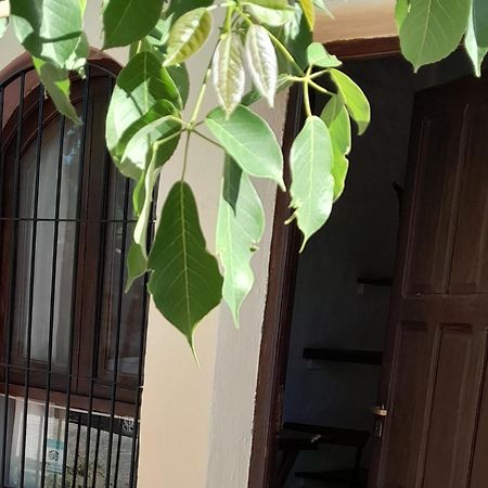 Bed and Breakfast La Montana Cafayate Esterno foto