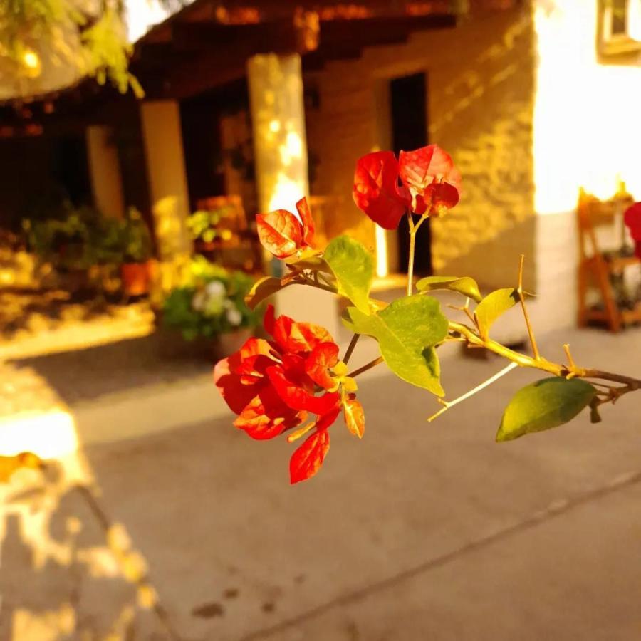 Bed and Breakfast La Montana Cafayate Esterno foto