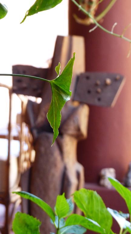 Bed and Breakfast La Montana Cafayate Esterno foto